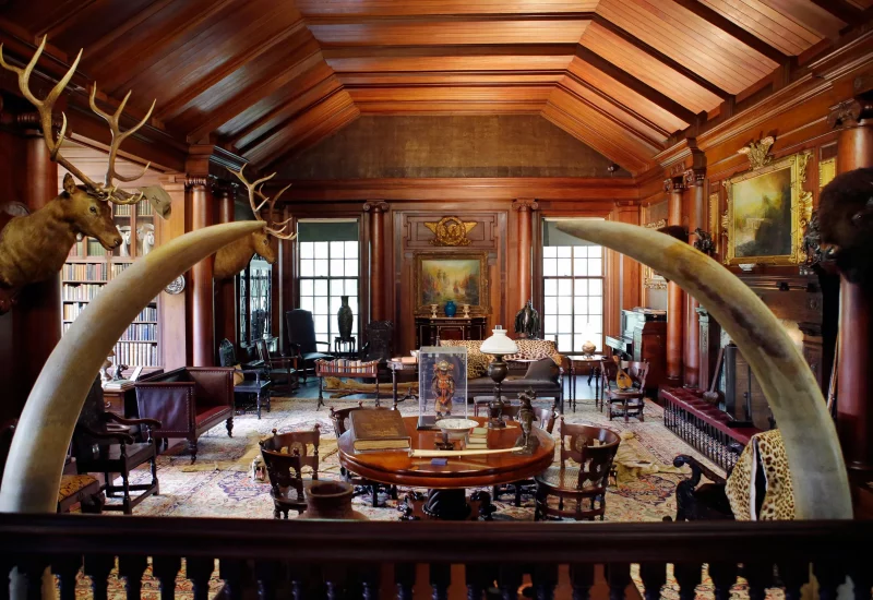 teddy-roosevelt-home